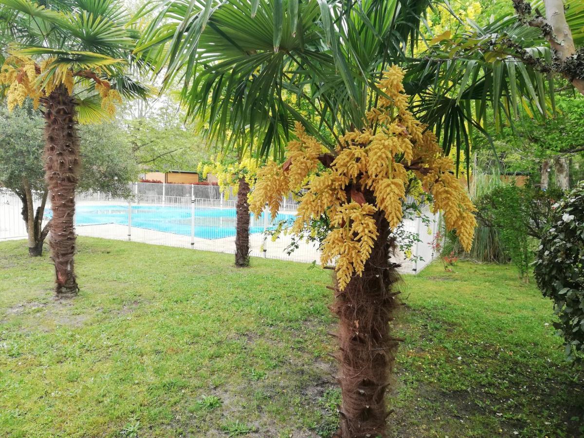Petite Maison De Vacances Hotel Onesse-et-Laharie Ngoại thất bức ảnh